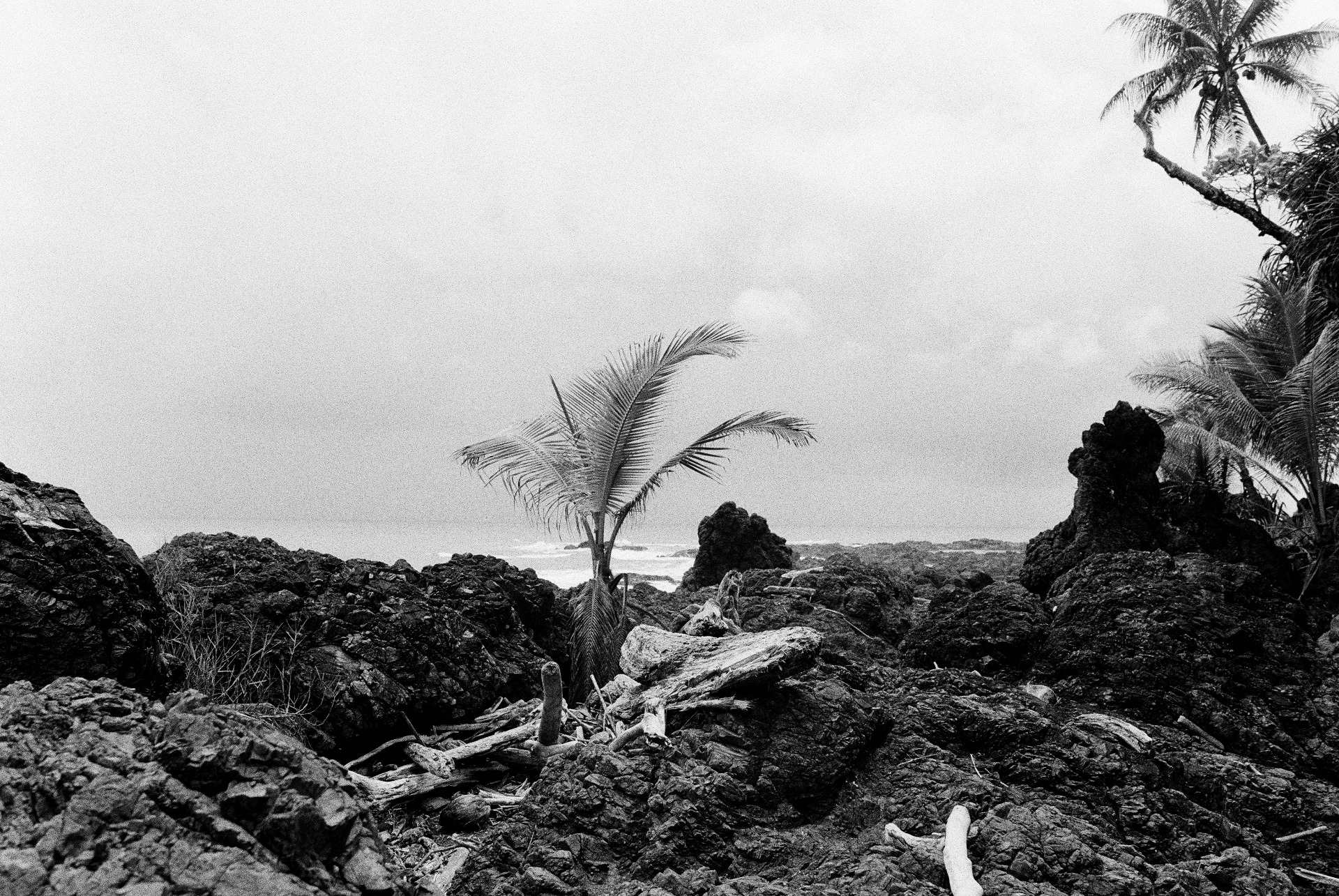 Costa Rica — Vulkanische Küste und Naturlandschaft